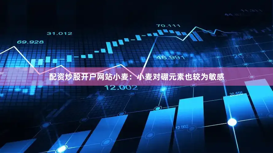 配资炒股开户网站小麦：小麦对硼元素也较为敏感