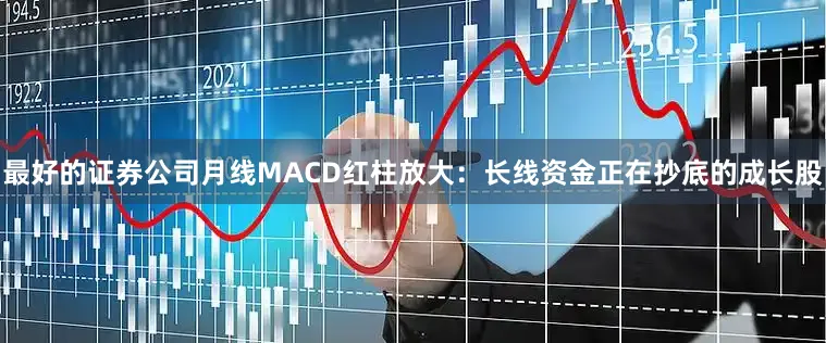 最好的证券公司月线MACD红柱放大：长线资金正在抄底的成长股