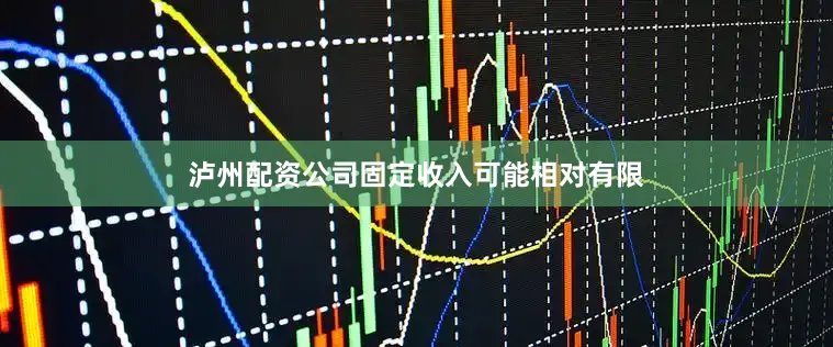 泸州配资公司固定收入可能相对有限